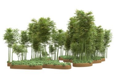 Beyaz arka planda ağaçlar olan bir ada. 3d görüntüleme - illüstrasyon