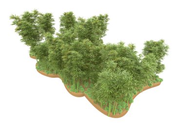 Beyaz arka planda ağaçlar olan bir ada. 3d görüntüleme - illüstrasyon