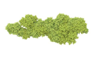 Beyaz arka planda ağaçlar olan bir ada. 3d görüntüleme - illüstrasyon