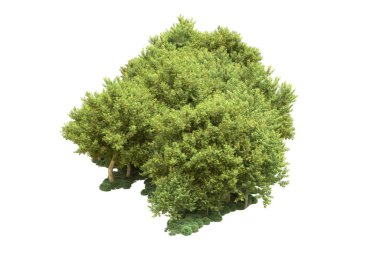 Beyaz arka planda ağaçlar olan bir ada. 3d görüntüleme - illüstrasyon