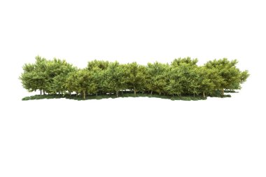 Beyaz arka planda ağaçlar olan bir ada. 3d görüntüleme - illüstrasyon