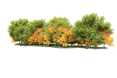 Beyaz arka planda ağaçlar olan bir ada. 3d görüntüleme - illüstrasyon