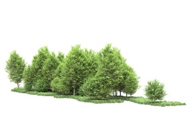 Beyaz arka planda ağaçlar olan bir ada. 3d görüntüleme - illüstrasyon