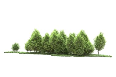 Beyaz arka planda ağaçlar olan bir ada. 3d görüntüleme - illüstrasyon