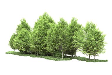 Beyaz arka planda ağaçlar olan bir ada. 3d görüntüleme - illüstrasyon