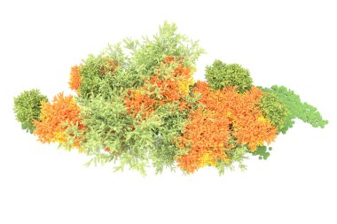 Beyaz arka planda ağaçlar olan bir ada. 3d görüntüleme - illüstrasyon