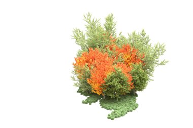 Beyaz arka planda ağaçlar olan bir ada. 3d görüntüleme - illüstrasyon