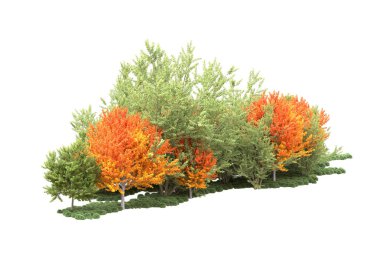 Beyaz arka planda ağaçlar olan bir ada. 3d görüntüleme - illüstrasyon