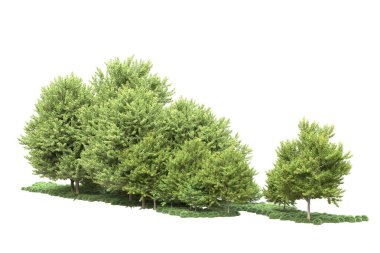 Beyaz arka planda ağaçlar olan bir ada. 3d görüntüleme - illüstrasyon