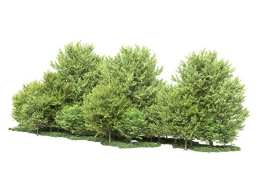 Beyaz arka planda ağaçlar olan bir ada. 3d görüntüleme - illüstrasyon