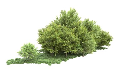 Beyaz arka planda ağaçlar olan bir ada. 3d görüntüleme - illüstrasyon