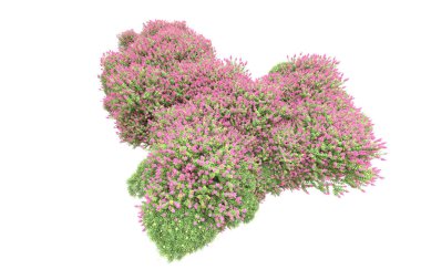 Beyaz arka planda ağaçlar olan bir ada. 3d görüntüleme - illüstrasyon