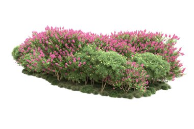 Beyaz arka planda ağaçlar olan bir ada. 3d görüntüleme - illüstrasyon