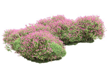 Beyaz arka planda ağaçlar olan bir ada. 3d görüntüleme - illüstrasyon