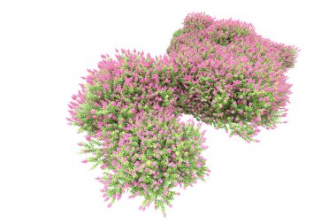 Beyaz arka planda ağaçlar olan bir ada. 3d görüntüleme - illüstrasyon