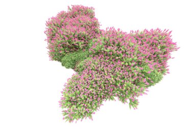 Beyaz arka planda ağaçlar olan bir ada. 3d görüntüleme - illüstrasyon