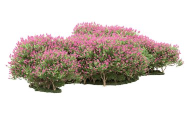 Beyaz arka planda ağaçlar olan bir ada. 3d görüntüleme - illüstrasyon