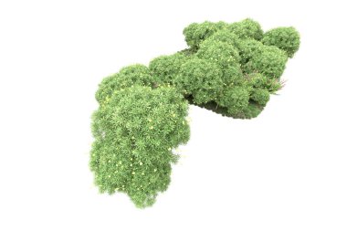 Beyaz arka planda ağaçlar olan bir ada. 3d görüntüleme - illüstrasyon