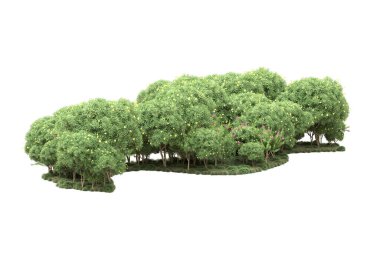 Beyaz arka planda ağaçlar olan bir ada. 3d görüntüleme - illüstrasyon