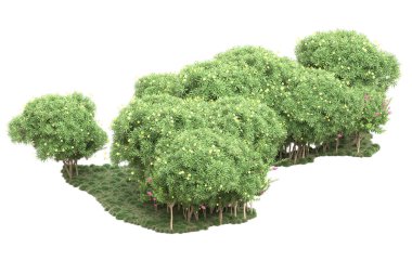 Beyaz arka planda ağaçlar olan bir ada. 3d görüntüleme - illüstrasyon