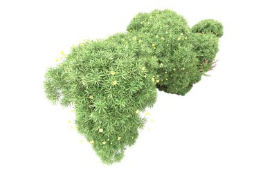 Beyaz arka planda ağaçlar olan bir ada. 3d görüntüleme - illüstrasyon