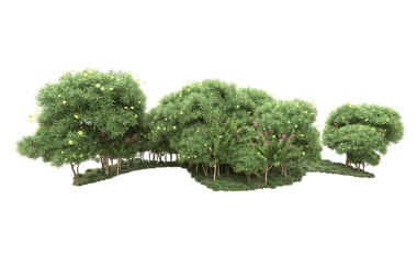 Beyaz arka planda ağaçlar olan bir ada. 3d görüntüleme - illüstrasyon