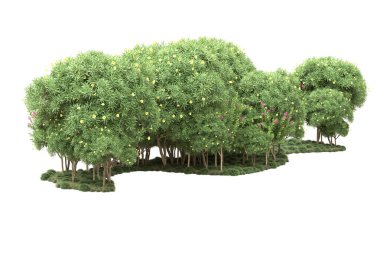 Beyaz arka planda ağaçlar olan bir ada. 3d görüntüleme - illüstrasyon