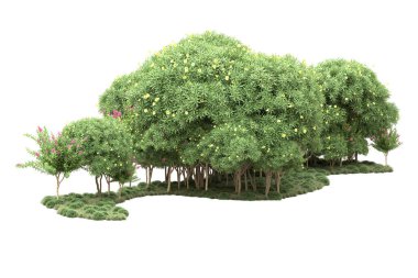 Beyaz arka planda ağaçlar olan bir ada. 3d görüntüleme - illüstrasyon