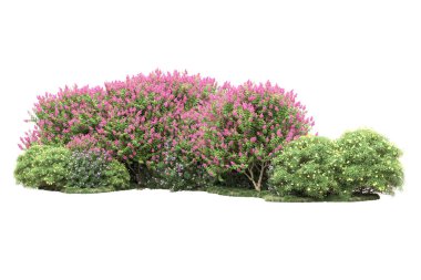 Beyaz arka planda ağaçlar olan bir ada. 3d görüntüleme - illüstrasyon