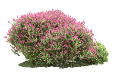 Beyaz arka planda ağaçlar olan bir ada. 3d görüntüleme - illüstrasyon