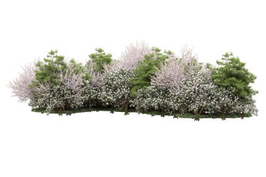 Beyaz arka planda ağaçlar olan bir ada. 3d görüntüleme - illüstrasyon