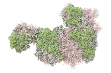 Beyaz arka planda ağaçlar olan bir ada. 3d görüntüleme - illüstrasyon