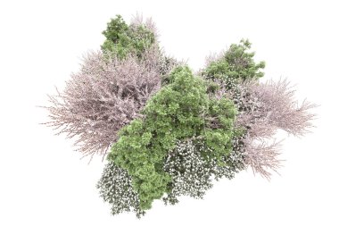 Beyaz arka planda ağaçlar olan bir ada. 3d görüntüleme - illüstrasyon