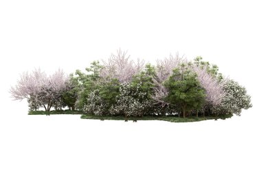 Beyaz arka planda ağaçlar olan bir ada. 3d görüntüleme - illüstrasyon