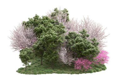 Beyaz arka planda ağaçlar olan bir ada. 3d görüntüleme - illüstrasyon