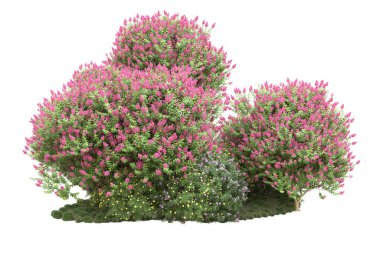 Beyaz arka planda ağaçlar olan bir ada. 3d görüntüleme - illüstrasyon