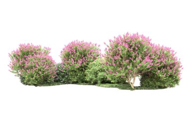 Beyaz arka planda ağaçlar olan bir ada. 3d görüntüleme - illüstrasyon