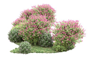 Beyaz arka planda ağaçlar olan bir ada. 3d görüntüleme - illüstrasyon