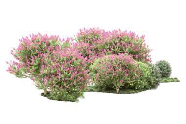 Beyaz arka planda ağaçlar olan bir ada. 3d görüntüleme - illüstrasyon