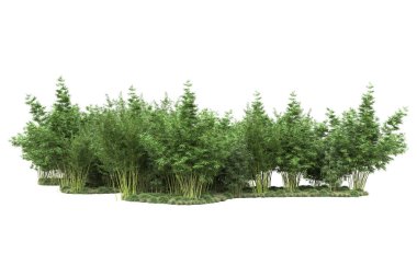 Beyaz arka planda ağaçlar olan bir ada. 3d görüntüleme - illüstrasyon