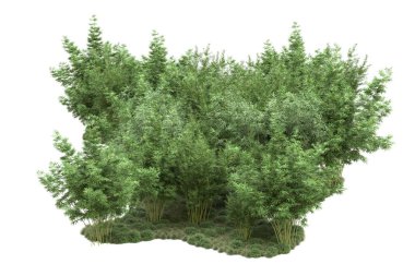 Beyaz arka planda ağaçlar olan bir ada. 3d görüntüleme - illüstrasyon