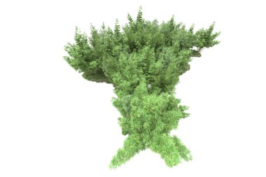 Beyaz arka planda ağaçlar olan bir ada. 3d görüntüleme - illüstrasyon