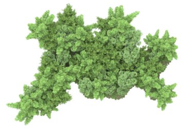 Beyaz arka planda ağaçlar olan bir ada. 3d görüntüleme - illüstrasyon