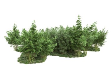 Beyaz arka planda ağaçlar olan bir ada. 3d görüntüleme - illüstrasyon