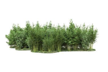 Beyaz arka planda ağaçlar olan bir ada. 3d görüntüleme - illüstrasyon