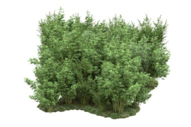 Beyaz arka planda ağaçlar olan bir ada. 3d görüntüleme - illüstrasyon