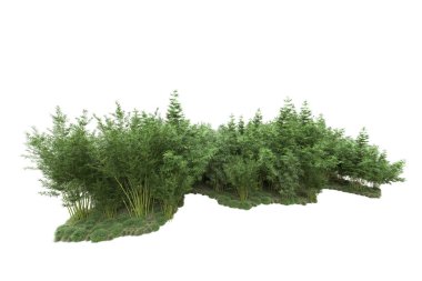 Beyaz arka planda ağaçlar olan bir ada. 3d görüntüleme - illüstrasyon