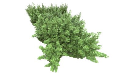 Beyaz arka planda ağaçlar olan bir ada. 3d görüntüleme - illüstrasyon