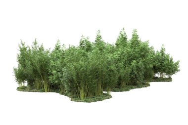 Beyaz arka planda ağaçlar olan bir ada. 3d görüntüleme - illüstrasyon