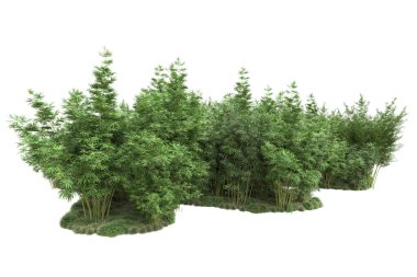 Beyaz arka planda ağaçlar olan bir ada. 3d görüntüleme - illüstrasyon